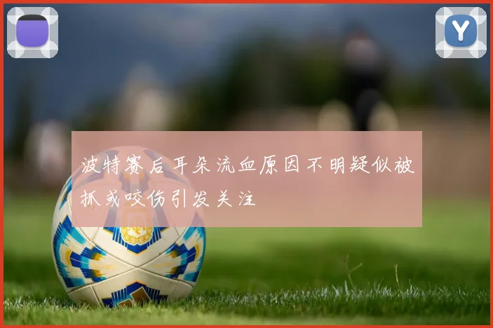 波特赛后耳朵流血原因不明疑似被抓或咬伤引发关注