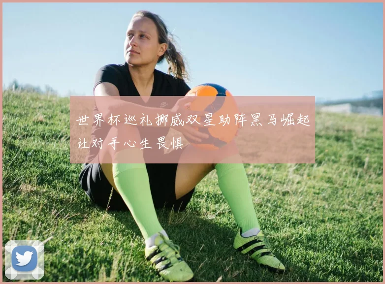 世界杯巡礼挪威双星助阵黑马崛起让对手心生畏惧